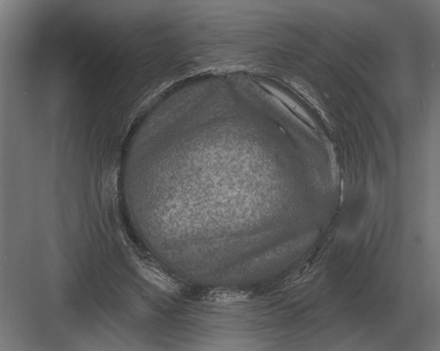 X0000082930491200702152151