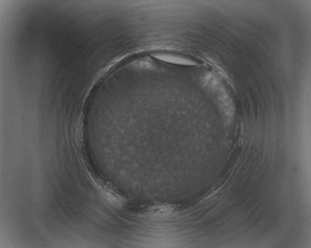 X0000082930492200702152151