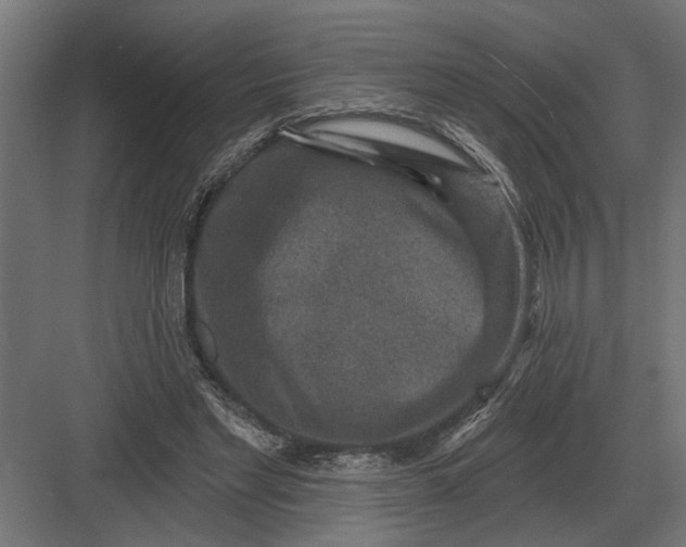 X0000082930493200702152151