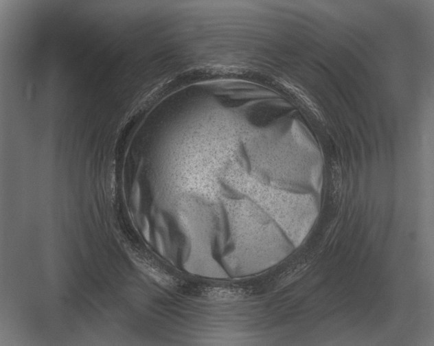 X0000082930494200702152151