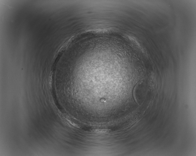 X0000082930495200702152151