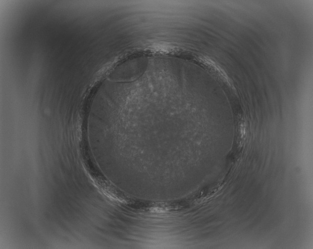 X0000082930496200702152151