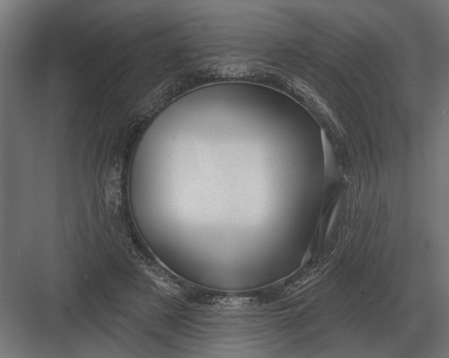 X0000082930497200702152151