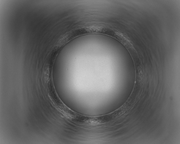 X0000082930498200702152151