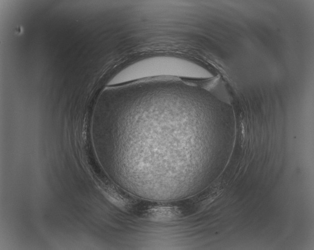 X0000082930499200702152151