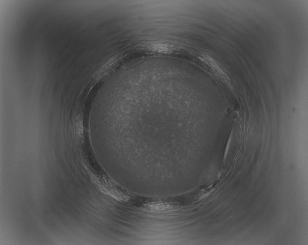 X0000082930500200702152151