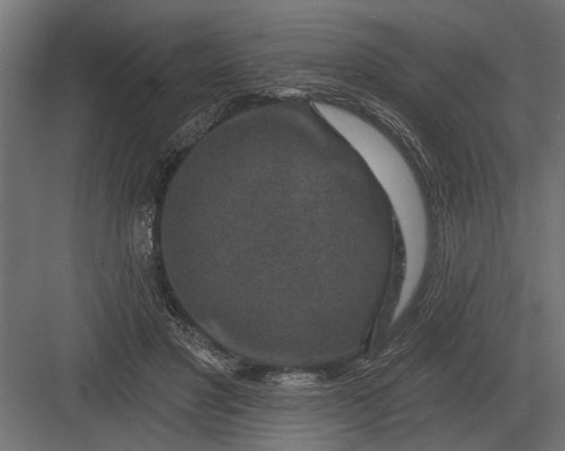 X0000082930501200702152151