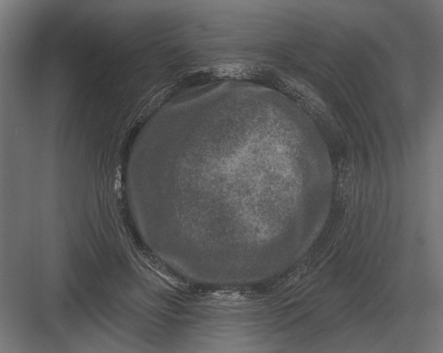 X0000082930502200702152151