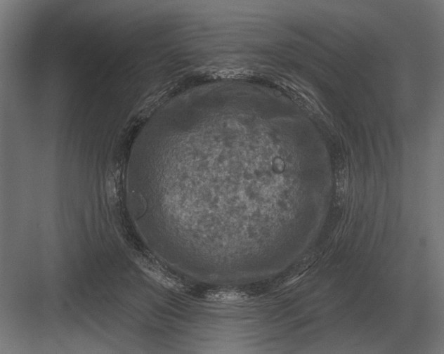 X0000082930503200702152151