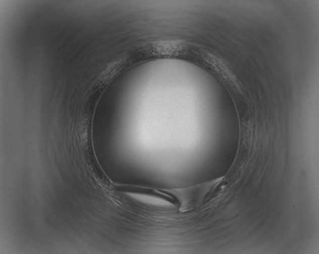 X0000082930505200702152151