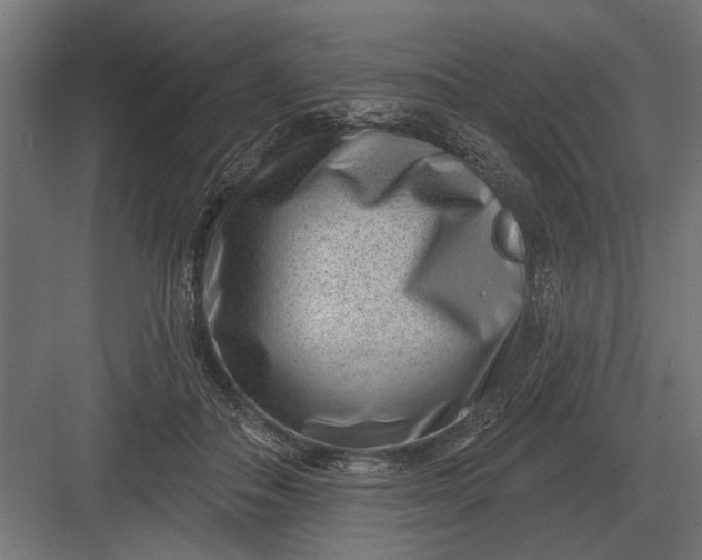 X0000082930506200702152151