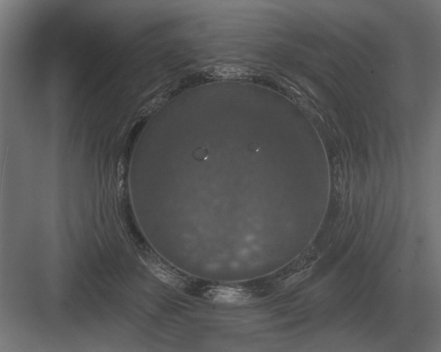 X0000082930507200702152151