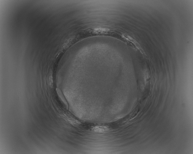 X0000082930508200702152151