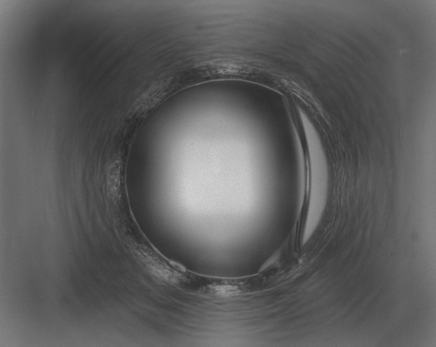 X0000082930509200702152151