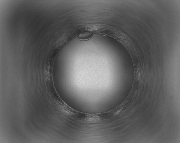 X0000082930510200702152151