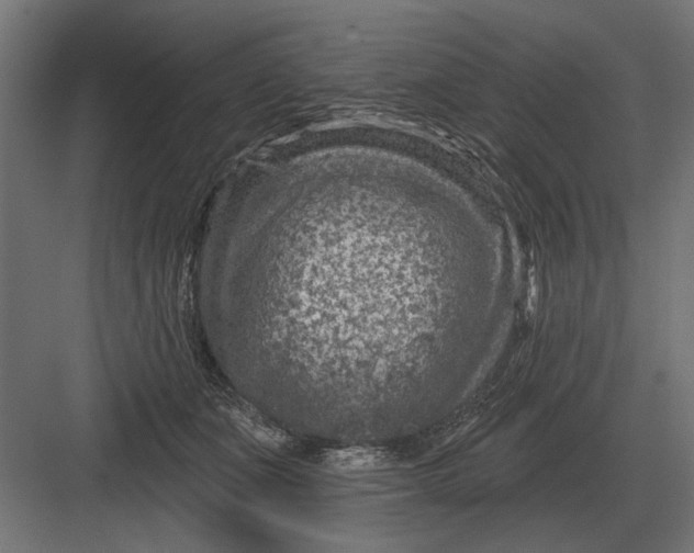 X0000082930511200702152151