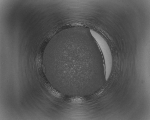 X0000082930513200702152151