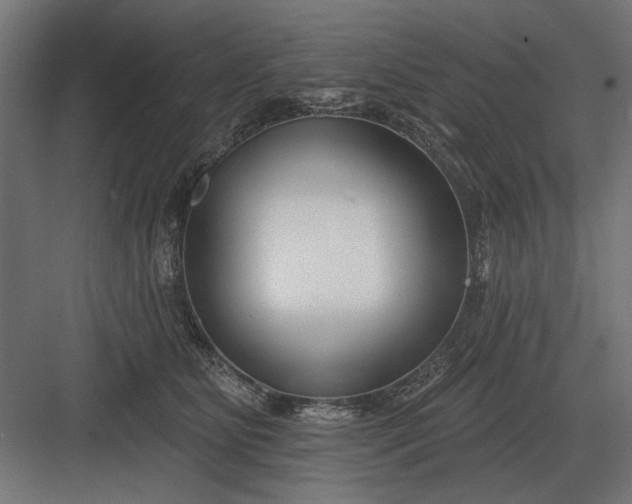 X0000082930515200702152151