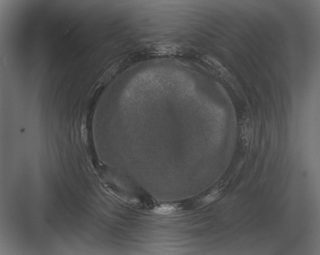 X0000082930516200702152151