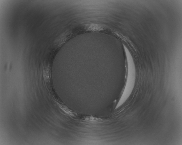 X0000082930517200702152151