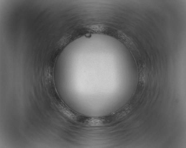 X0000082930518200702152151