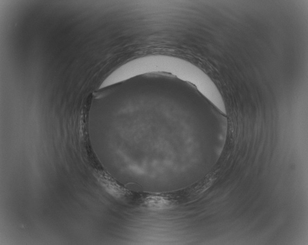 X0000082930519200702152151