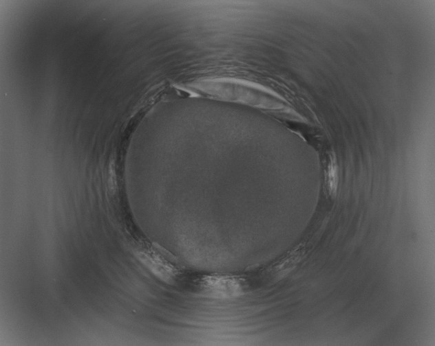 X0000082930520200702152151