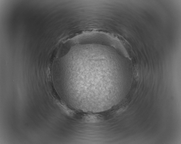 X0000082930523200702152151