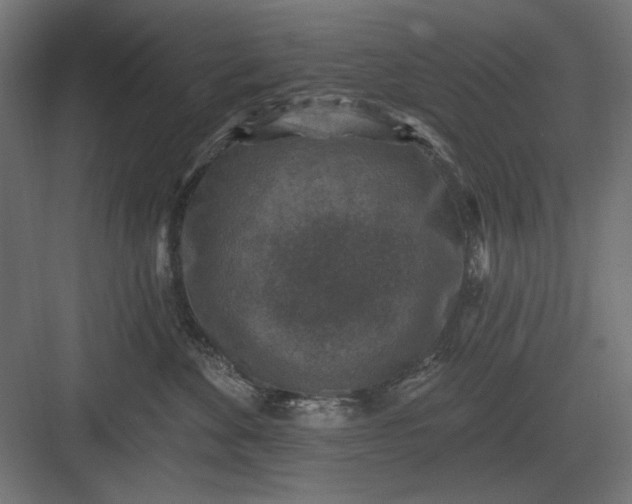 X0000082930524200702152151