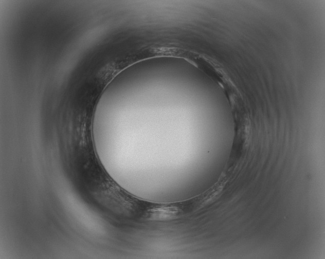 X0000082930525200702152150