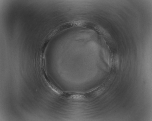 X0000082930526200702152150