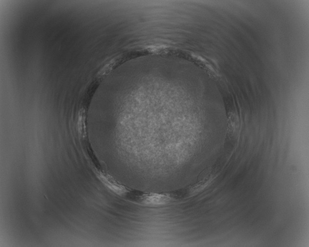 X0000082930527200702152150