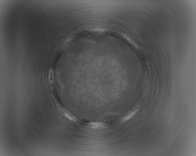 X0000082930528200702152150