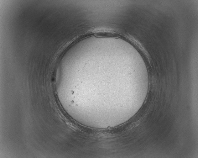 X0000082930529200702152150