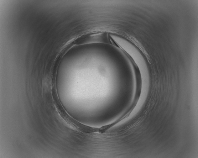 X0000082930530200702152150