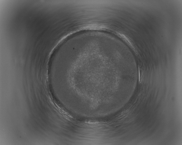 X0000082930531200702152150