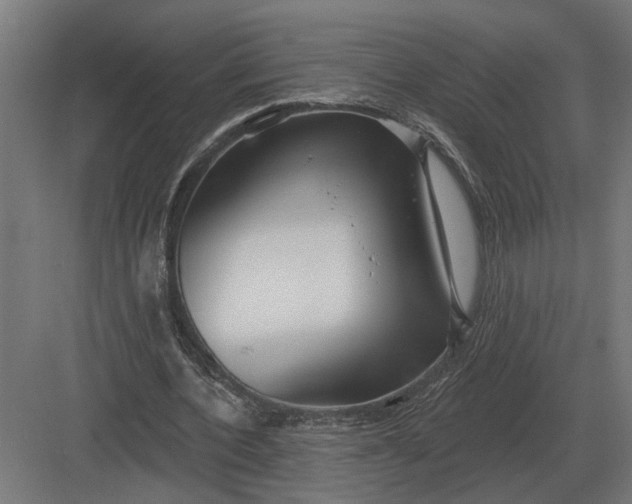 X0000082930532200702152150