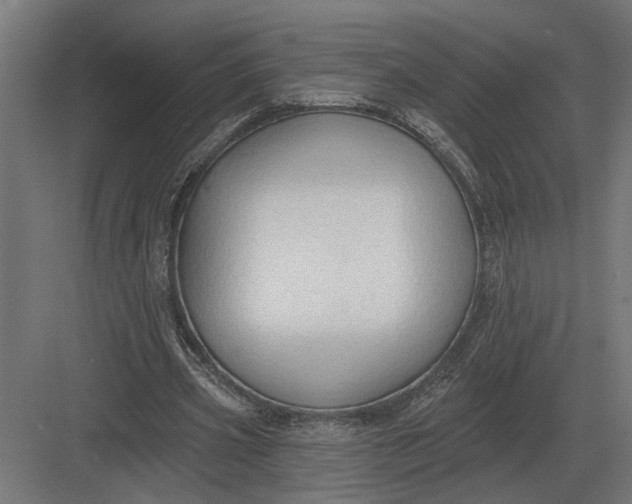 X0000082930533200702152150