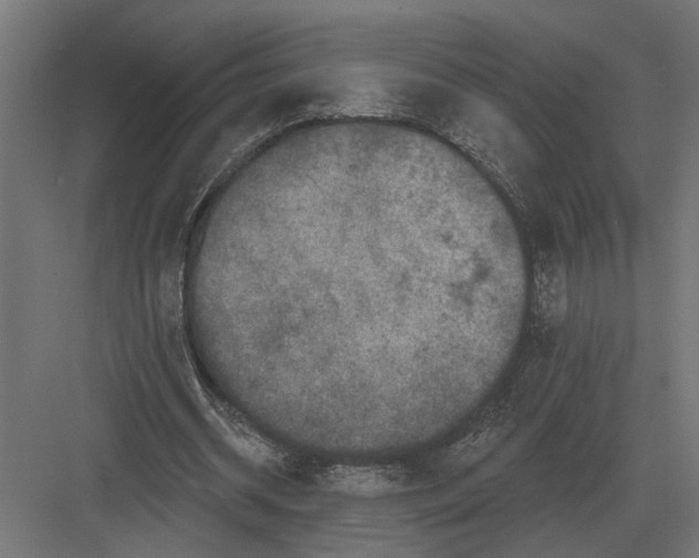 X0000082930534200702152150