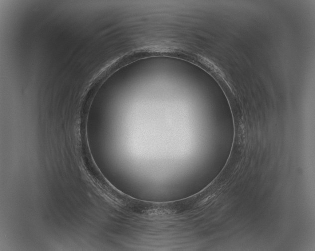 X0000082930535200702152150