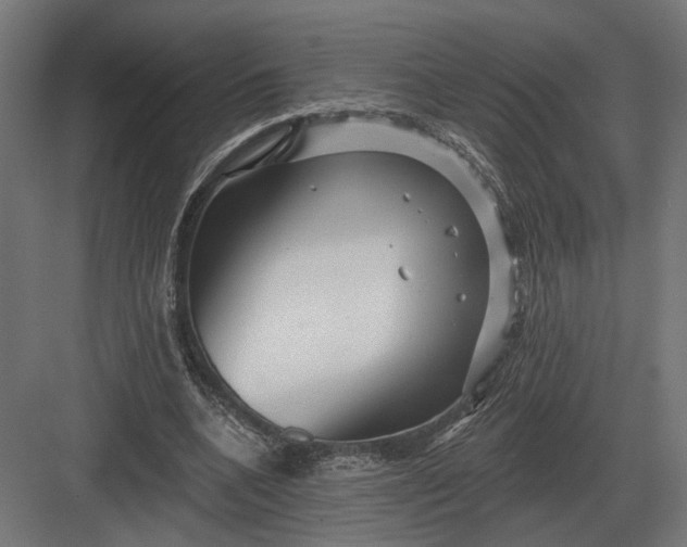 X0000082930536200702152150