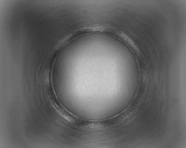 X0000082930537200702152150