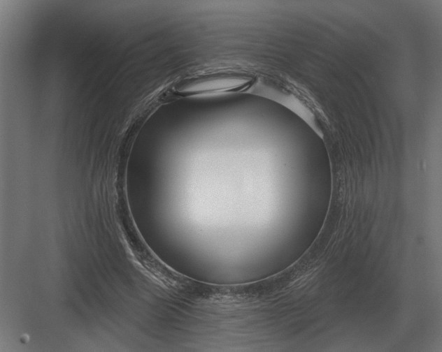 X0000082930538200702152150