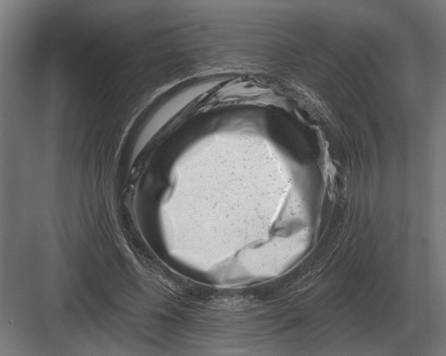 X0000082930540200702152150