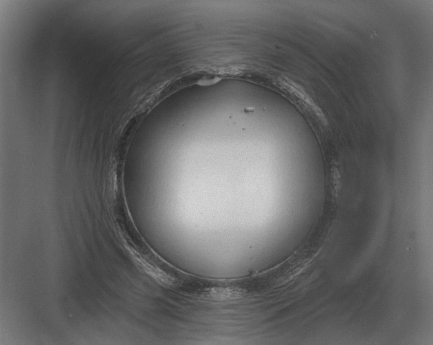 X0000082930541200702152150