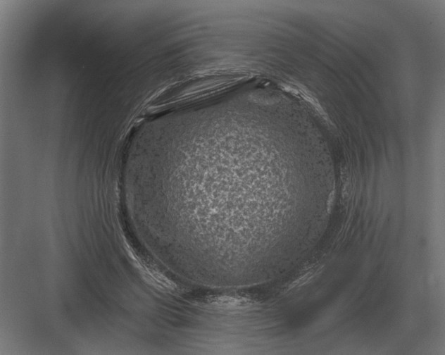 X0000082930542200702152150