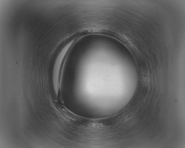 X0000082930543200702152150