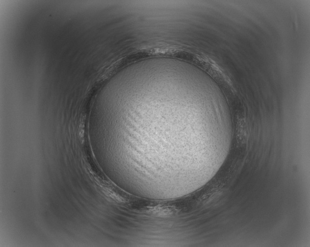 X0000082930545200702152150