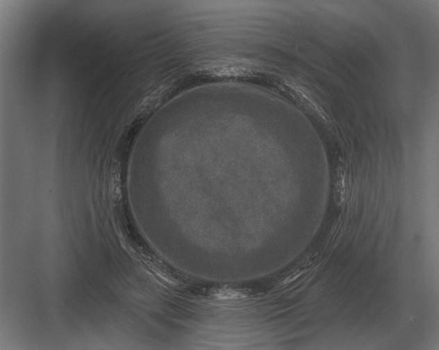 X0000082930547200702152150