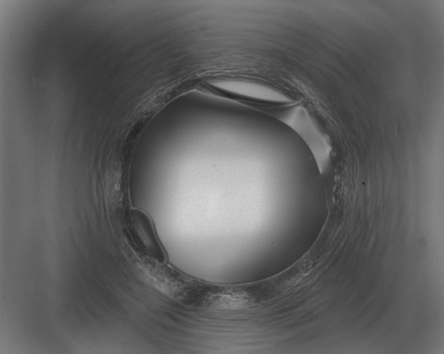 X0000082930548200702152150